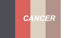 Every one of the twelve signs has its power colors that bring them luck, prosperity, and overall good energies. Tumblr Style Astrology Color Palettes Wattpad