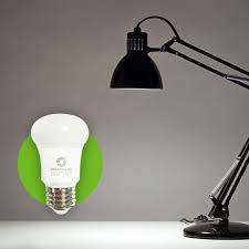 Changing your terrarium bulbs yearly ensures optimal light conditions to keep your reptiles healthy. 5 Reasons To Choose Sunlight Light Bulbs Seniorled Senior Led
