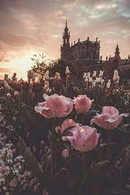Maybe you would like to learn more about one of these? Minimal Elegant Aesthetic Fashion Aesthetic Aesthetic Aesthetic Clothing Vintage Ret Landscape Wallpaper Nature Photography Beautiful Wallpapers