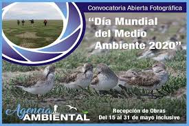 Con motivo del día mundial del medio ambiente, durante la semana el acceso será libre y gratuito. Dia Mundial Del Medio Ambiente Municipalidad Rio Gallegos