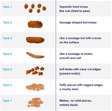 Image result for thin ribbon stools human poop