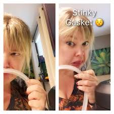 Average lifespan of dishwasher gasket and maintenance