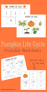 Printable Pumpkin Life Cycle Worksheets Pumpkin Life Cycle Pumpkin Life Cycle Kindergarten Pumpkin Lessons
