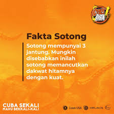 We provide version 3.1.7z, the latest version that has been optimized for different devices. Safaristall Fakta Lain Pasal Sotong Rupanya Sotong Ada Facebook