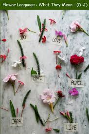 It's thorns symbolize both evil and protection. The Language Of Flowers What They Mean D J Pioneer Thinking