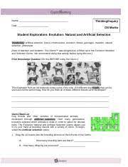 We recommend doing that activity before trying this one.] 5 Evolution Natural And Artificial Gizmo Docx Name Thinking Inquiry Date 26 Marks Student Exploration Evolution Natural And Artificial Selection Course Hero