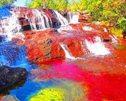 We did not find results for: Parque Nacional Natural Serrania De La Macarena Paint By Number Numpaint Paint By Numbers