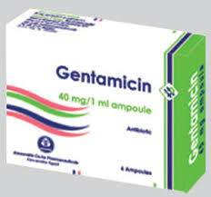 This agent irreversibly binds to the bacterial 30s ribosomal subunit. Gentamicin 40mg Ampoules Rosheta