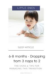 6 8 Months Dropping From 3 Naps To 2 In 2020 Baby Sleep Advice Baby Development Baby Grows