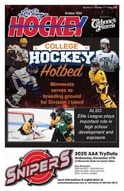 MN Wild Commemorative Issue by Let's Play Hockey