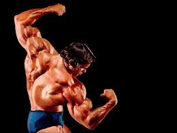 We did not find results for: Bodybuilding Wallpapers Hd 2016 Wallpaper Cave