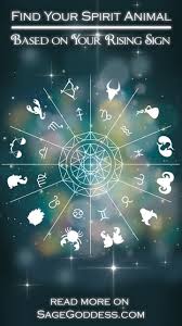 A Spirit Animal For Each Rising Sign Spirit Animal Find Your Spirit Animal Whats Your Spirit Animal