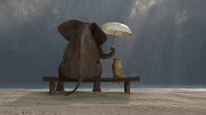Maybe you would like to learn more about one of these? 24 Quotes About Kindness That Will Inspire You To Make A Difference And Be Happy Inc Com