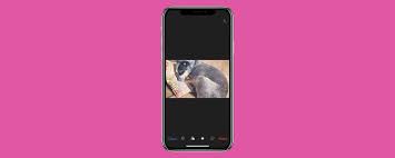 To crop a photo on your iphone or ipad, follow these steps: The Quickest Way To Crop Pictures On The Iphone