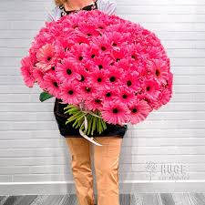 Image result for Gerbera