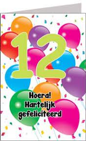 Verjaardagskaart 12 Jaar Feestartikelenshop Com
