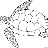Adult coloring pages with complex designs for older kids, adults, seniors and artists, printable pictures to color of adult toys, peace posters, kaleidoscopes, patterns for coloring and mandala coloring sheets. Https Encrypted Tbn0 Gstatic Com Images Q Tbn And9gcrjqa7xstllve5yotkjcsnaapavgtvo0jxu3ufvowzj6gitedfc Usqp Cau