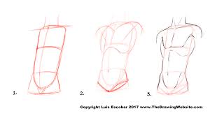 How to draw anime anatomy no timelapse anime drawing tutorial for beginners. How To Draw A Body Anime Male Novocom Top