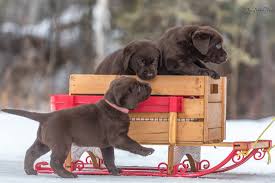 We did not find results for: Home