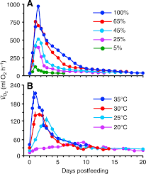 Digestive Physiology Of The Burmese Python Broad Regulation