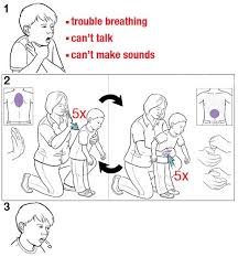 Pemerintah bersama masyarakat bertanggung jawab untuk menjamin bahwa setiap ibu memiliki akses terhadap Haz 133113h Twitter