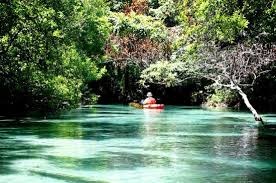 See The Real Florida Review Of Weeki Wachee Springs State