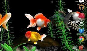 Download Live Wallpaper 3d Apk Gallery Fish Wallpaper Fish Images Goldfish