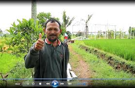 Check spelling or type a new query. Pelihara Ayam Petelur Afkir Berkembang Menjadi 1000 Ekor Pola Nogososro Sabuk Inten Telur Albumin Omega 3