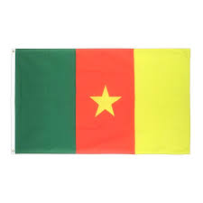 Echarpe + bracelet nantes drapeau maillot scarf schal sjaal sciarpa bufanda. Drapeau Supporter Shop Cameroun