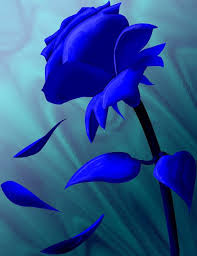 Wallpaper Blue Colour Rose Images Download, share or upload your own one! wallpaper blue colour rose images