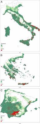 Impact Of Xylella Fastidiosa Subspecies Pauca In European Olives Pnas