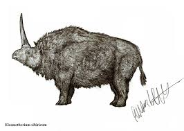 Скелет эласмотерия (elasmotherium sibiricum ). Elasmotherium Sibiricum By Teratophoneus On Deviantart