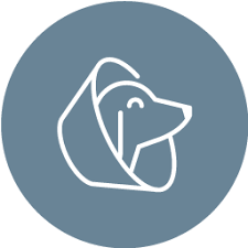 Our veterinary staff is available during normal business hours for routine examinations, vaccinations, pet dental. La Mesa Ca 91942 Veterinarian The Pet Hospital Of La Mesa