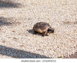 Photo & Image Portfolio by Aaron Waldschmidt