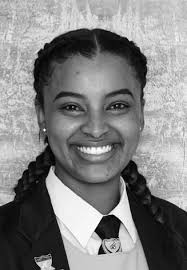 Die nuwe hek en sypanele