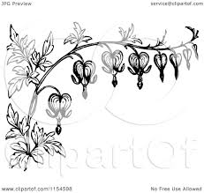 Black And White Bleeding Heart Flower Images Clipart Of A Retro Vintage Black And White Border Of Bleeding Heart Flowers Royalty Free Vect Heart Flower Tattoo Bleeding Heart Flower Bleeding Heart Tattoo