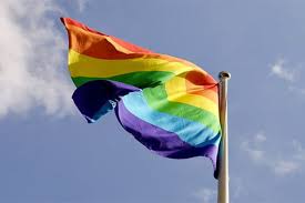 Em diferentes épocas de sua história, a bandeira lgbt passou por releituras, porque. Por Que O Arco Iris E Bandeira Do Lgbt E O Significado De Cada Cor Meionorte Com