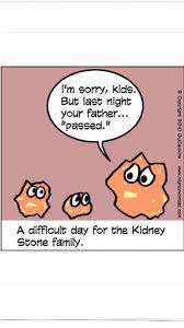 Learn about kidney stones and their symptoms, causes, types, and treatment. Lol A Little Humor For My Not So Humorous Kidney Stones In My Kidneys Kidney Stones Funny Ultrasound Humor Medical Humor