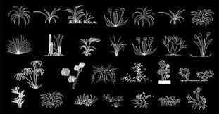 Trees, plants, potted plants, bushes, palms, simple trees, conifers, color trees in plan and elevation. Tree Cad Block Free Download Dwg Cadblocksdwg Com