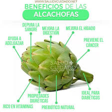 10 Beneficios De La Alcachofa Y Sus Contraindicaciones Food Artichoke Vegetables