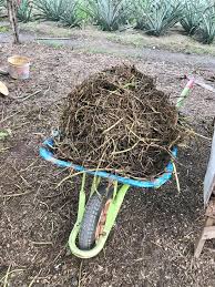 Cara membuat kompos takakura | alam tani. Kaedah Sustainable Farming Cara Buat Baja Organik Daripada Sayur Reject Petani Kena Tahu