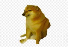 The doge meme is back—and this time it's liquified. Trending Doge Stickers Doge Meme Template Png Doge Transparent Background Free Transparent Png Images Pngaaa Com