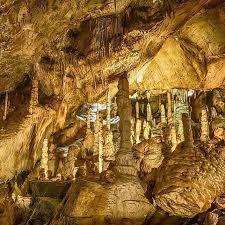 Mdr Sachsen Anhalt On Instagram Solche Tollen Tropfsteinhohlen Gibt Es Im Harz Jan Reichel Hat Die Baumannshohle In R Germany Travel Places To Visit Places
