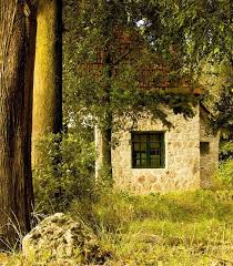 This hauntingly beautiful tattoo shows the silhoutte of trees. House In The Forest Tatoi Near Athens Greece