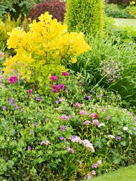 Check spelling or type a new query. How To Design A Beautiful Flower Garden Better Homes Gardens