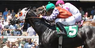 This video was shot with canon hg10, wd h43 wide angle, dm 50 direction mic, edited with sony vegas 8 and color graded with the magic bullet preset basic. Extreme Race Day Canterbury Park