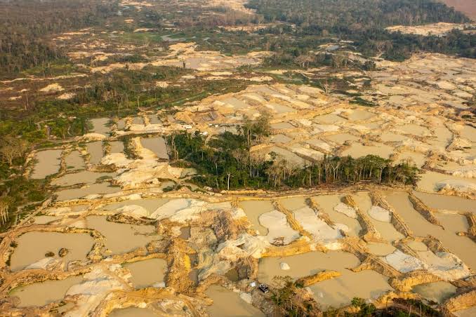 Sob press&atilde;o: avan&ccedil;o do garimpo desafia o Estado e destroi a Terra Ind&iacute;gena Sarar&eacute; - Greenpeace Brasil