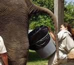 Image result for and you thought that your job sucked