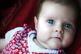 BreeAnna Richards Photography