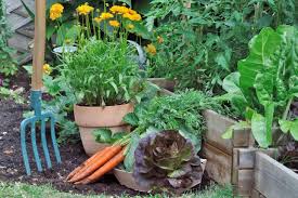 Would you rather have a vegetable garden or a flower garden? Where To Put Your Vegetable Garden Beginner S Guide To Getting The Site Right Stuff Co Nz